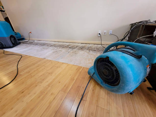 Professional Sewage Cleanup technician working in Hasty, CO